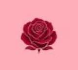 PinkRoom